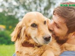 Chó Hỗ Trợ Cảm Xúc EVA Air: Quy Định và lưu ý quan trọng